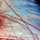 Illustration for article titled Microscope Image Or Alien Planet -- Can You Tell The Difference?